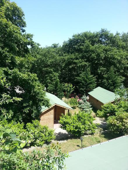 Green House Garden Park Hotel Cumhuriyet エクステリア 写真